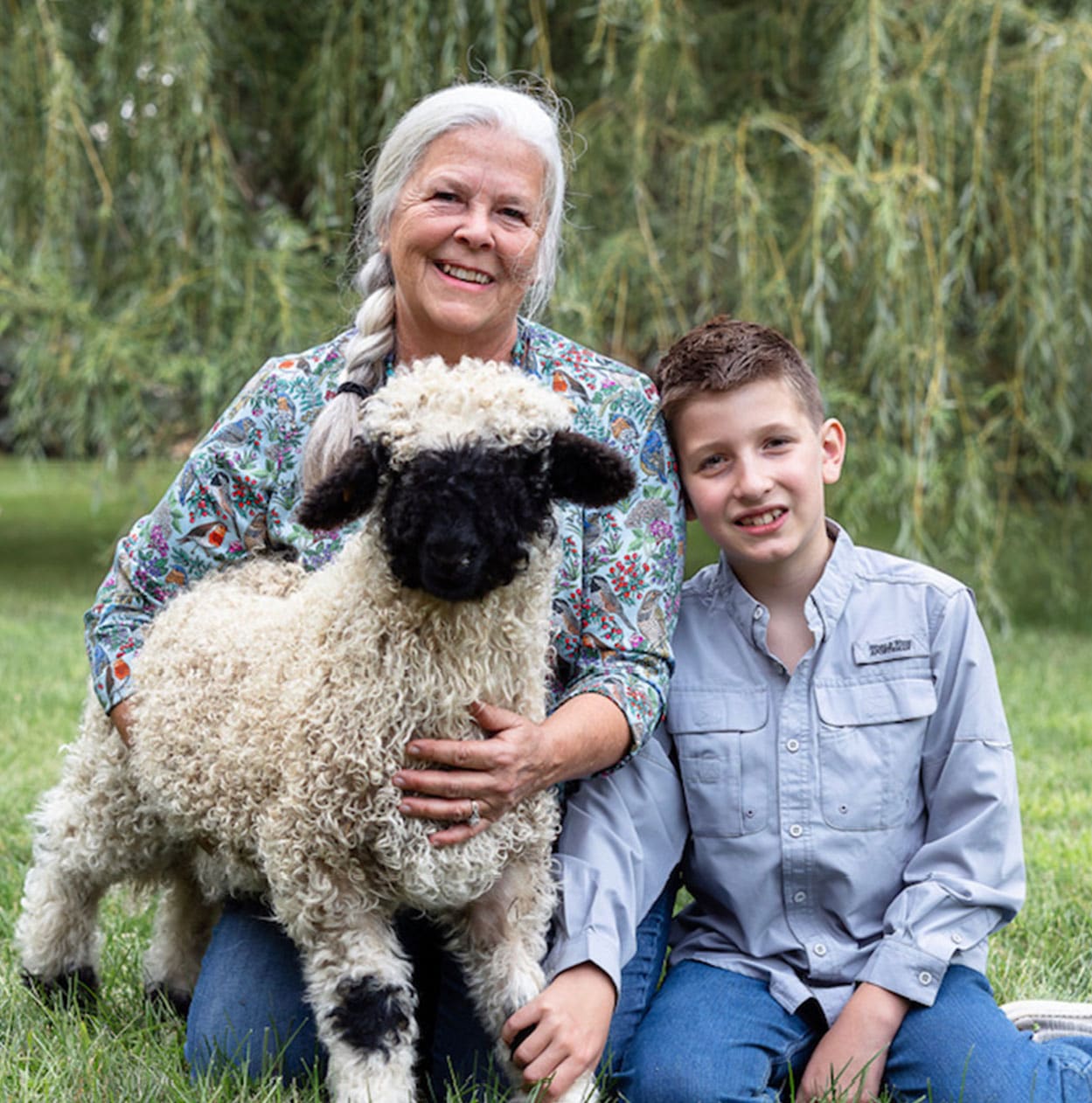 owners of valais blacknose minnesota