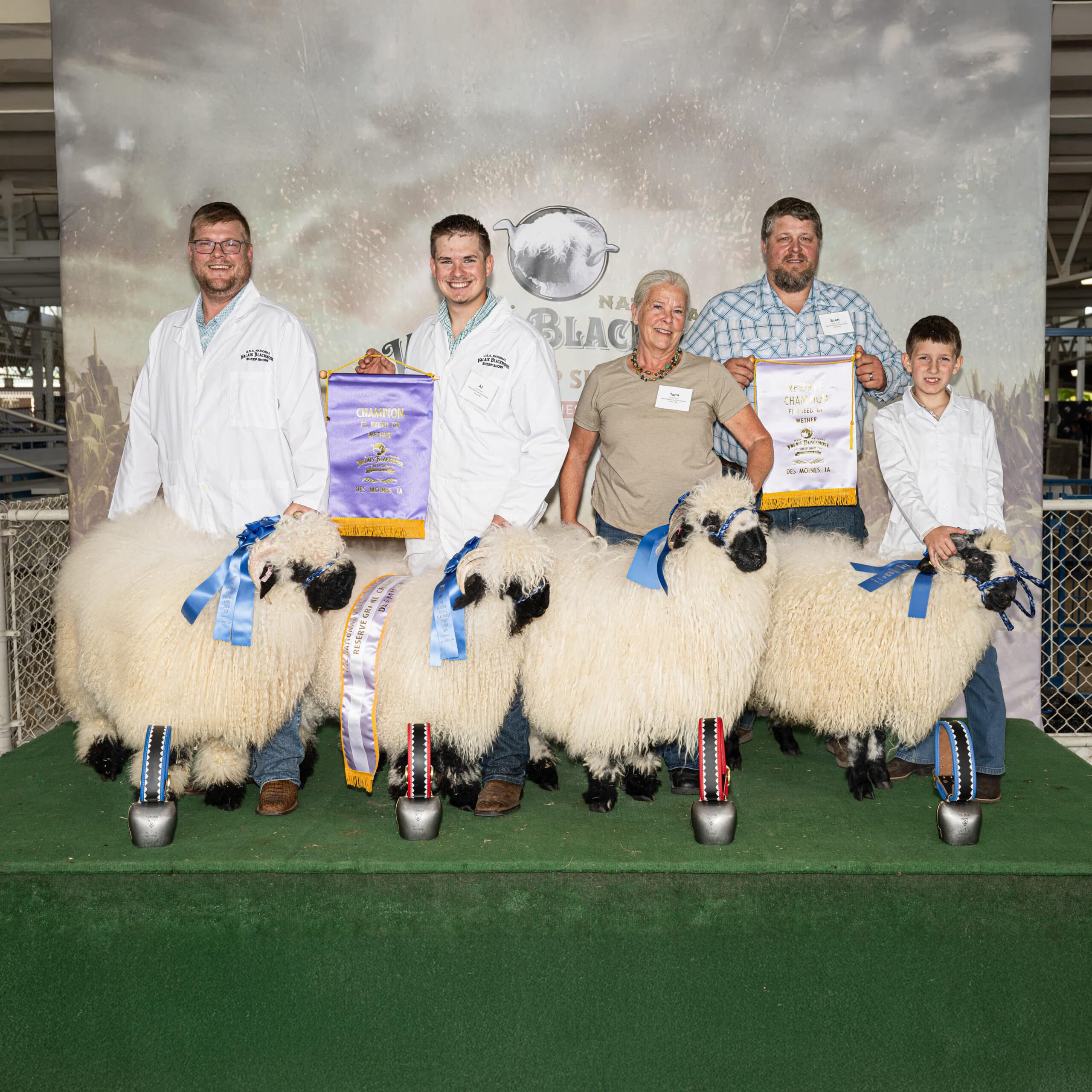 valais blacknose award ceremony photo everyone