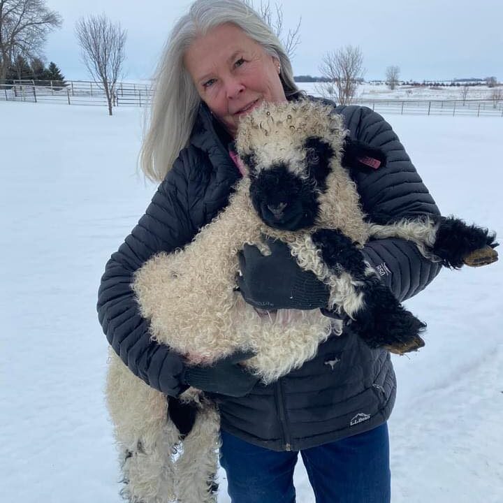 tami and sheep