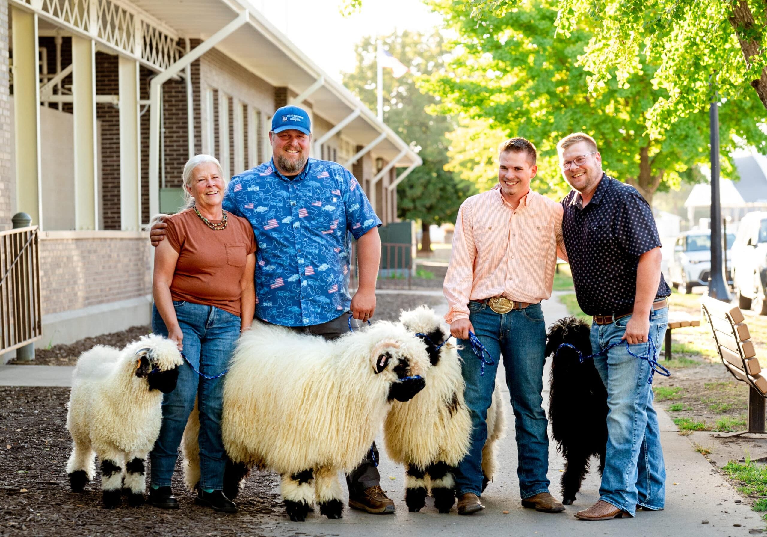 valais blackmnose mn team